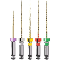 TruNatomy Assort MU 16-21 mm - машинные файлы ассорти 16-21 мм (5 шт) Maillefer