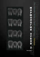 Морфология зубов 2. The Ultimate Guide to Tooth Morphology 2. Advance Автор: Вакита Дайю