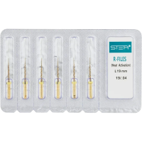 R-files Gold - файлы машинные 19 мм 19/04 (6 шт) Stea