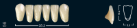 Зубы искусственные фронтальные нижние Ivocryl размер 56 цвет 210 ( 6 шт ) Ivoclar