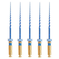 T-Flex машинные файлы 21 мм 02/30 (5 шт) Eurofile