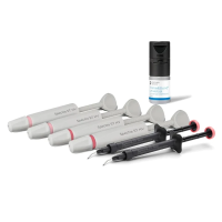 Neo Spectra ST - промонабор (HV A2 - 2 уп, HV A3 - 2 уп, Flow A2 - 1 уп, адгезив 4 мл) Dentsply