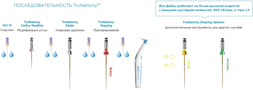 Последовательность TruNatomy Последовательность TruNatomy.webp