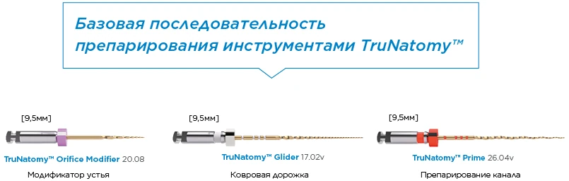 TruNatomy базовая последовательность TruNatomy базовая последовательность.webp