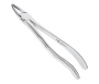щипцы для удаления зубов верхние резцы/клыки 12-1*, (hlw dental instruments)