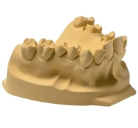 elite rock - гипс iv класса, цвет: песочно-коричневый, 3кг., арт. с410030, zhermack