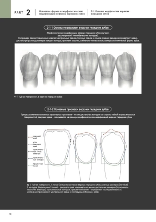 морфология зубов 2. the ultimate guide to tooth morphology 2. advance автор: вакита дайю