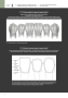 морфология зубов 2. the ultimate guide to tooth morphology 2. advance автор: вакита дайю