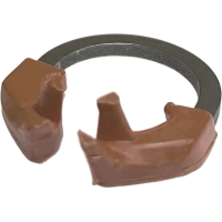 1.167(4). кольцо «мд» для премоляров (2.167р) тор вм