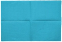 салфетки нагрудные 2-х слойные "jnb" 33х45, бирюзовый, 500 шт