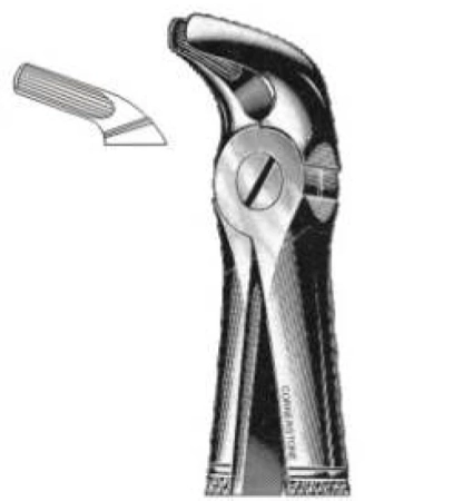 Щипцы зубные П 8 для удаления премоляров нижней челюсти (106) Cornerstone