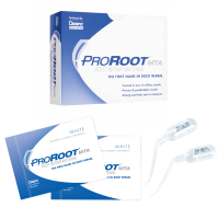 pro root 5 г + 5 мл (dentsply)