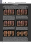 морфология зубов 2. the ultimate guide to tooth morphology 2. advance автор: вакита дайю