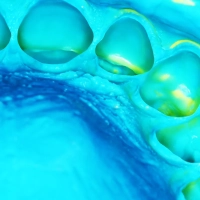 elite hd+ light body normal set (голубой) - а-силикон, корригирующий слой, 50мл+50мл, zhermack