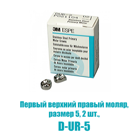 Stainless Steel Crowns - коронки в отдельных упаковках: первый верхний правый, №5, 2шт/уп., 3M ESPE