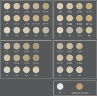 duceram kiss дентин 75г da2, degudent