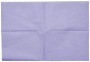 салфетки нагрудные 2-х слойные "jnb" 33х45, лаванда, 500 шт