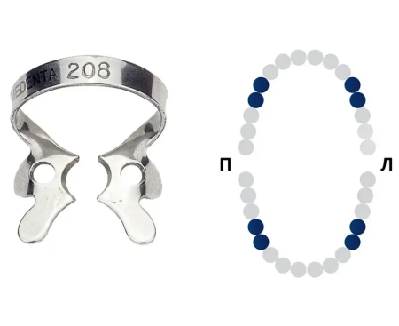 Кламп MEDENTA №208