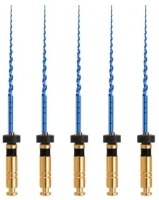 t-flex машинные файлы 25 мм 02/40 (5 шт) eurofile