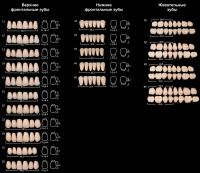 зубы акриловые анис фронтальные верхние 3-х сл цвет а3 №32 (6 шт на планке)
