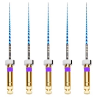 t-flex машинные файлы 21 мм 02/10 (5 шт) eurofile