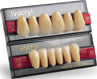 зубы искусственные боковые нижние ivocryl размер 28 цвет 210 (8 шт) ivoclar