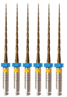 multitaper files gold, 31мм, wp 21, размер 04-20, стерильные машинные файлы (6 шт) eurofile