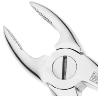 щипцы извлекающие корневые для верхней челюсти №29s, рa 529/09, nopa