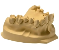 elite rock - гипс iv класса, цвет: песочно-коричневый, 25кг., арт. с410200, zhermack