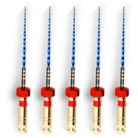 t-flex машинные файлы 25 мм 02/55 (5 шт) eurofile