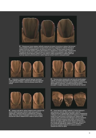 морфология зубов 2. the ultimate guide to tooth morphology 2. advance автор: вакита дайю