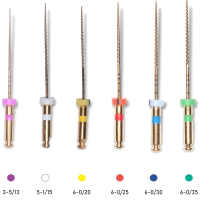 endoview / эндовью файлы машинные 21 мм ассорти (6 шт) geosoft