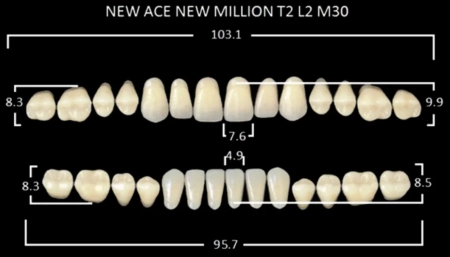 Зубы акриловые New Асе / New Million цвет B2 фасон T2, L2 / M30 (28 шт) Yamahachi