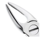 щипцы для удаления зубов верхние резцы/клыки 12-1*, (hlw dental instruments)