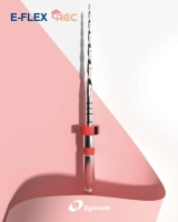 e-flex rec-10 packs 073 ассорти + устьевик + пасфайл 6 конус 25 мм (6 шт) eighteeth