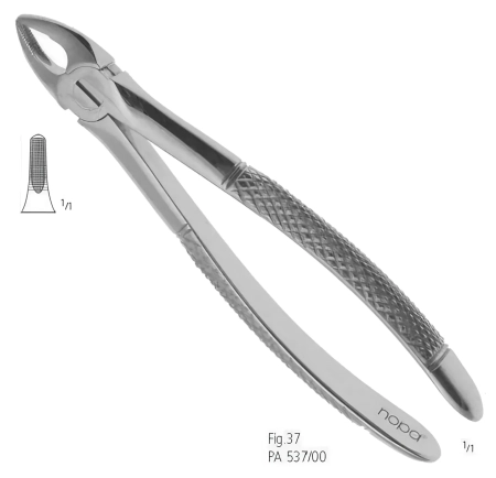 Щипцы извлекающие для резцов и клыков верхний челюсти №37, PA 537/00, Nopa