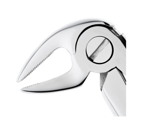 щипцы для удаления зубов нижние премоляры , 12-13*, (hlw dental instruments)