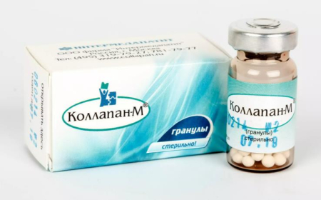 Коллапан - М гранулы №2 (2 см3)