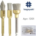 Kagayaki Sharp / Шарп Kagayaki Sharp / Шарп