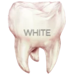 Flow-Color white Flow-Color white.webp